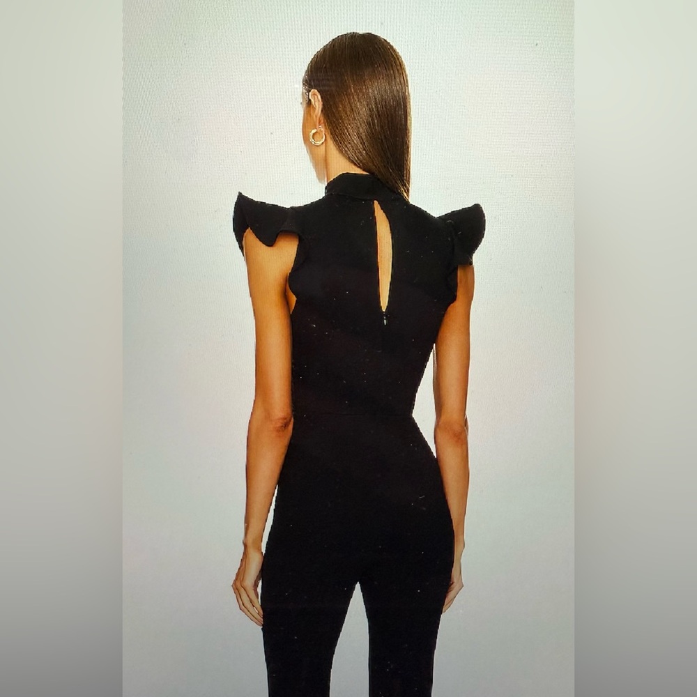 X Revolve Davina Jumpsuit - Picture 2 of 5